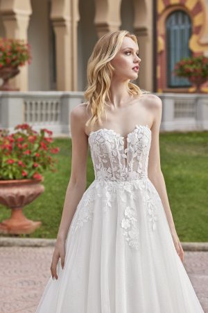Style 20024